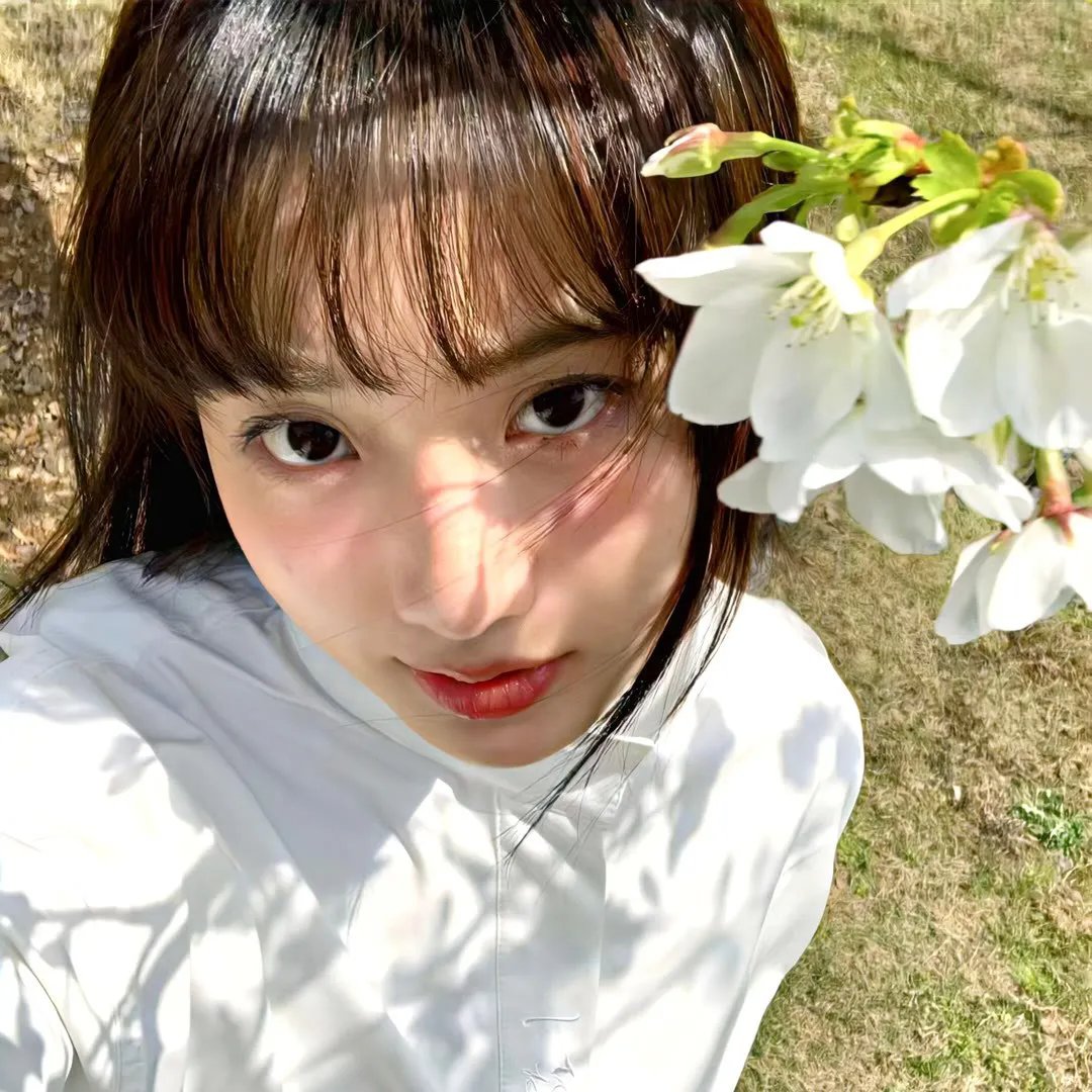 莲花太子